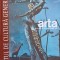 RAFTUL DE CULTURA GENERALA. ARTA VOL.3 DIN SECOLUL XIX PANA AZI-ALEXANDRU MACOVEI-238232