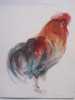 Set 7 gravuri artistice, animale, 31x27cm,semnate in placa Meyer Gasters