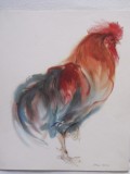 Set 7 gravuri artistice, animale, 31x27cm,semnate in placa Meyer Gasters