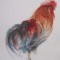 Set 7 gravuri artistice, animale, 31x27cm,semnate in placa Meyer Gasters