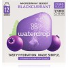 Waterdrop Microdrink băutură cu vitamine aroma Boost –⁠⁠⁠⁠⁠⁠ Blackcurrant 12 buc