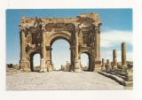 FA69-Carte Postala- ALGERIA - Timgad, circulata, Fotografie