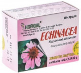 Cumpara ieftin Echinacea, 40 capsule, Hofigal