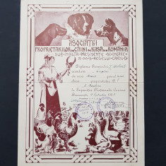 Diploma premiului I , 1938 Chinologie , Caini de rasa , canina