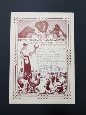 Diploma premiului I , 1938 Chinologie , Caini de rasa , canina foto