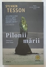PILONII MARII , roman de SYLVAIN TESSON , 2026