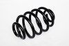 Arc Suspensie Spate 65886 SR.050