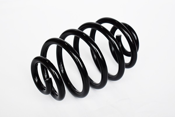 Arc Suspensie Spate 65886 SR.050