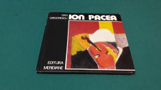 ALBUM ION PACEA/ DAN GRIGORESCU/ 1976 foto