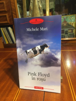 Michele Mari - PINK FLOYD in rosu (Ca noua!) foto