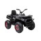 Quad electric negru XL