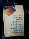 John Welwood - Psihologia trezirii