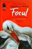 Daniela Krien - Focul