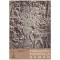 Constantin C. Giurescu - Formarea poporului roman - 129975