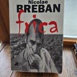 Frica - Nicolae Breban