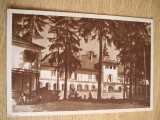 QW23 B - Carte postala - tematica turism - vedere - Romania - Borsec 13, Necirculata, Fotografie