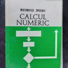 MATEMATICI SPECIALE CALCUL NUMERIC - C.M. BUCUR, C.A. POPEEA, GH.GH. SIMION