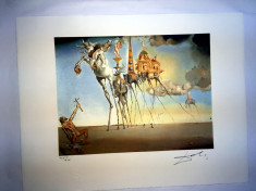 Litografie SALVADOR DALI 50x65cm Bfk Rives foto