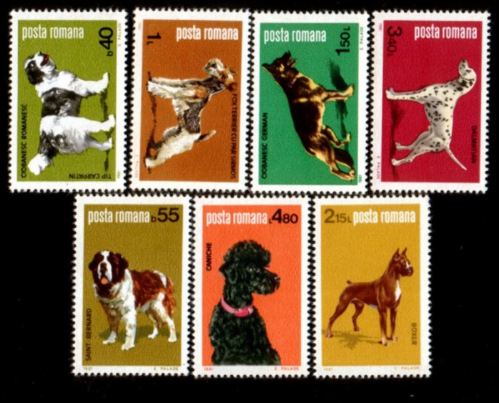 1981 - Caini, serie neuzata