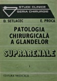 Cumpara ieftin Patologia chirurgicala a glandelor suprarenale - 1986 - D. Setlacec (AS397)
