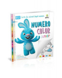 NumeroColor Junior. Carte de colorat după numere - Paperback brosat - *** - Gama