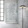Paravan dus walk-in Aqua Roy INOX, model Dance incolor, sticla 8 mm clara, securizata anticalcar, 100x195 cm