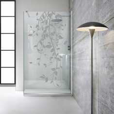Paravan dus walk-in Aqua Roy INOX, model Dance incolor, sticla 8 mm clara, securizata, anticalcar, 70x195 cm
