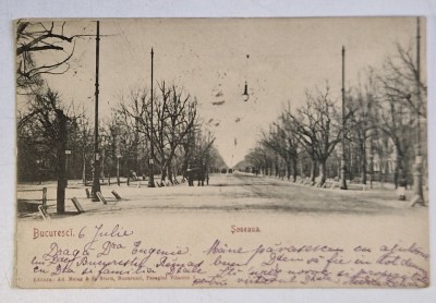 BUCURESTI , SOSEAUA , IN PLAN APROPIAT O TRASURA CU CAI , CARTE POSTALA , CLASICA foto