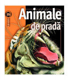 Animale de pradă - Hardcover - John Seidensticker, Susan Lumpkin - RAO