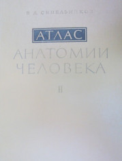 ATLAS DE ANATOMIE UMANA-SINELNIKOV VOL 2 1979 (LIMBA RUSA) foto