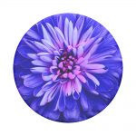 Capac de schimb pentru PopGrip, PopTop Be a Dahlia, Popsockets original foto