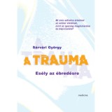 A trauma - Es&eacute;ly az &eacute;bred&eacute;sre - S&aacute;rv&aacute;ri Gy&ouml;rgy