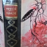 Iliada - Hom&egrave;re