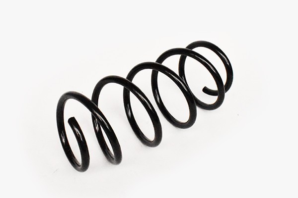 Arc Suspensie Fata 65892 NGH 02.03.013