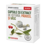 Capsule cu extract de Usturoi cu Paducel si Vasc, 30 capsule, Parapharm