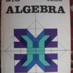 Algebra-Ion D.Ion,R.Nicolae