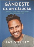GANDESTE CA UN CALUGAR. ANTRENEAZA-TI MINTEA PENTRU A-TI GASI LINISTEA SI SCOPUL IN VIATA DE ZI CU ZI-JAY S-256748