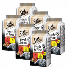 Sheba Fresh &amp;amp;amp; Fine pui ?i carne de vita 6 x (6 x 50 g) foto
