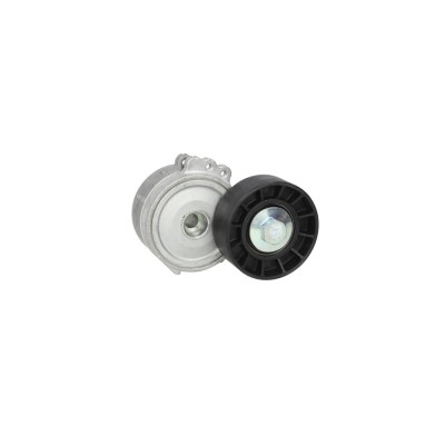 Intinzator curea FIAT SCUDO Combinato 220P DAYCO APV1028 foto