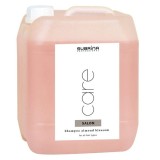 Subrina Professional Care Almond Blossom - Sampon, Pentru toate tipurile de par, 5000 ml
