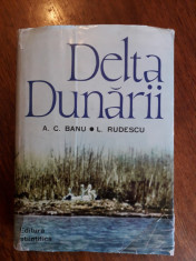 Delta Dunarii - A. C. Banu, L. Rudescu / C22P foto