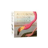 Audubon's Birds of America: The Tiny Folio