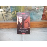 Insemnari dintr-un bordel turcesc - Philip O Ceallaigh