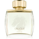 Lalique Pour Homme Equus Eau de Parfum pentru bărbați