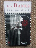 PASI PE STICLA-IAIN BANKS