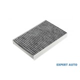 Filtru polen carbon w Nissan Qashqai (2007-&gt;)[J10,NJ10,JJ10E] #1