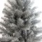 Foto  - 2