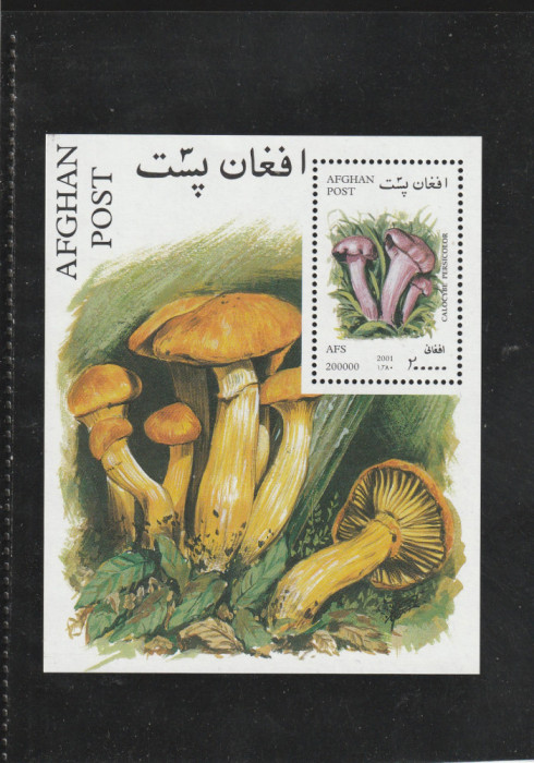 Afganistan 2001--Flora,Ciuperci,colita dantelata,nestampilata.Mi.Bl.120