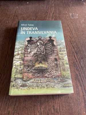 Mirel Talos Undeva in Transilvania foto