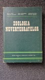 ZOOLOGIA NEVERTEBRATELOR - Matic, Nastasescu